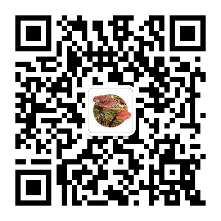 89c737300cee49de9a9ebd47be6cf643.Jpeg