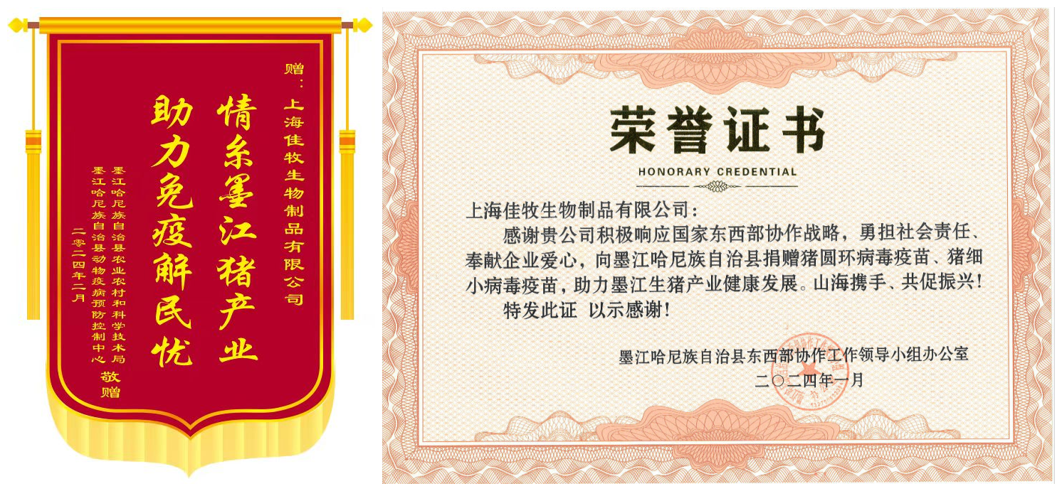 18d7ba7438db4940b8e17d6bcdc5ffb3.png