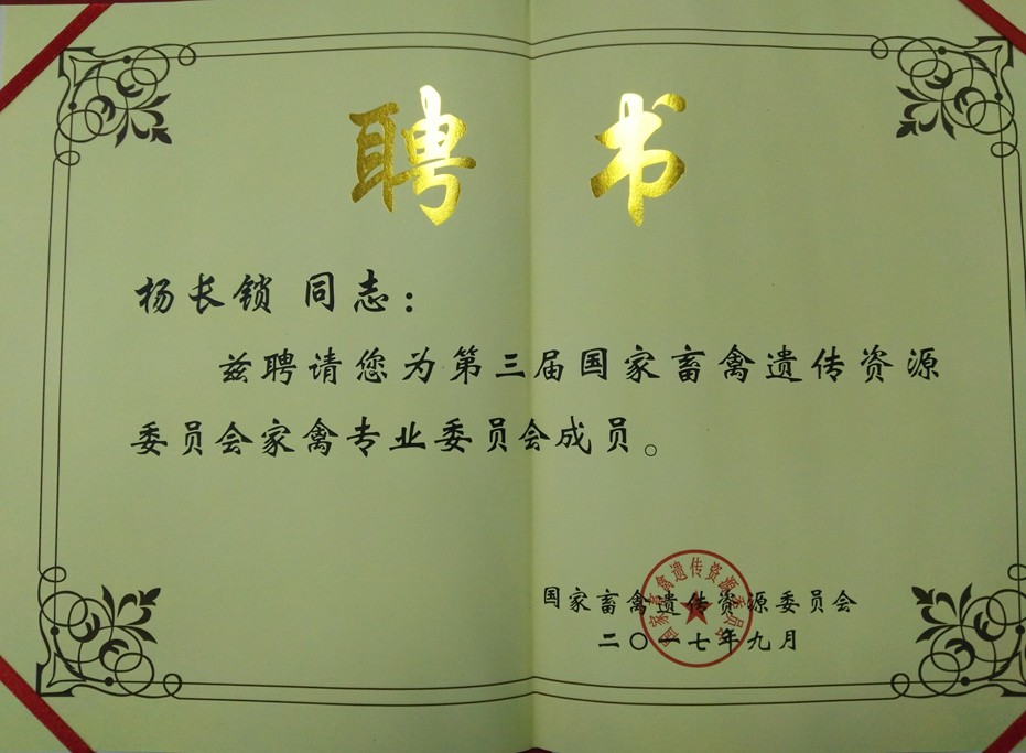 24ede99b4803400ab2fdf044cdd5baf3.jpg