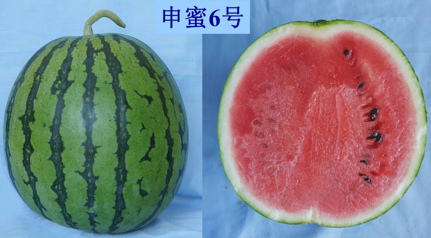 ecf4651817ad4624a40c4cf19b0b9e29.Jpeg