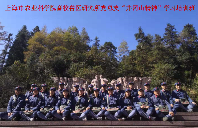 851454feb8b6418ea8d8e72bde93e51a.Png