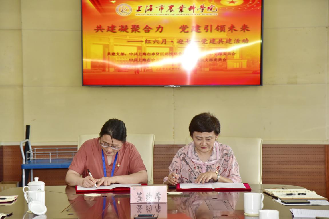 ef5610e6841c450ab211c9a2a4749484.Jpeg