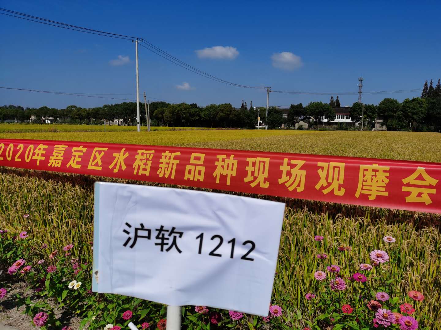 62f8d4229f09416c893bac7b8c9ca988.Jpeg