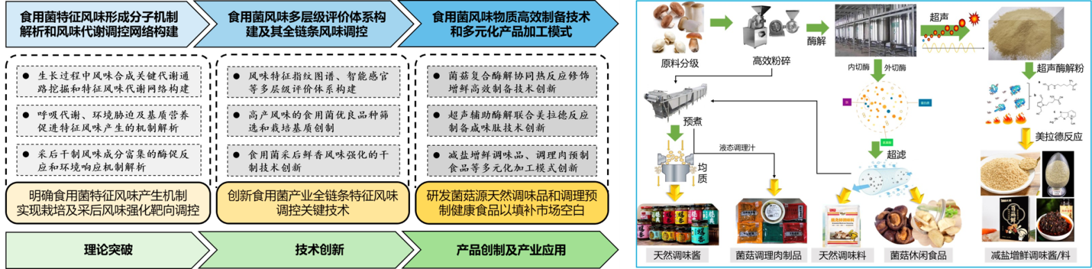03eecdfec09246ca8d2a5000a68d5087.Png
