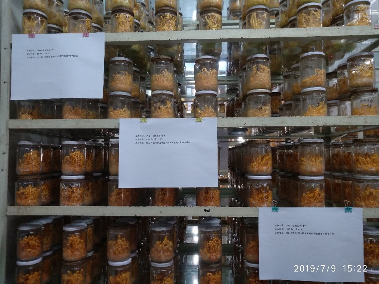 44bd6270b1864c43aa181126b63a2f06.Jpeg