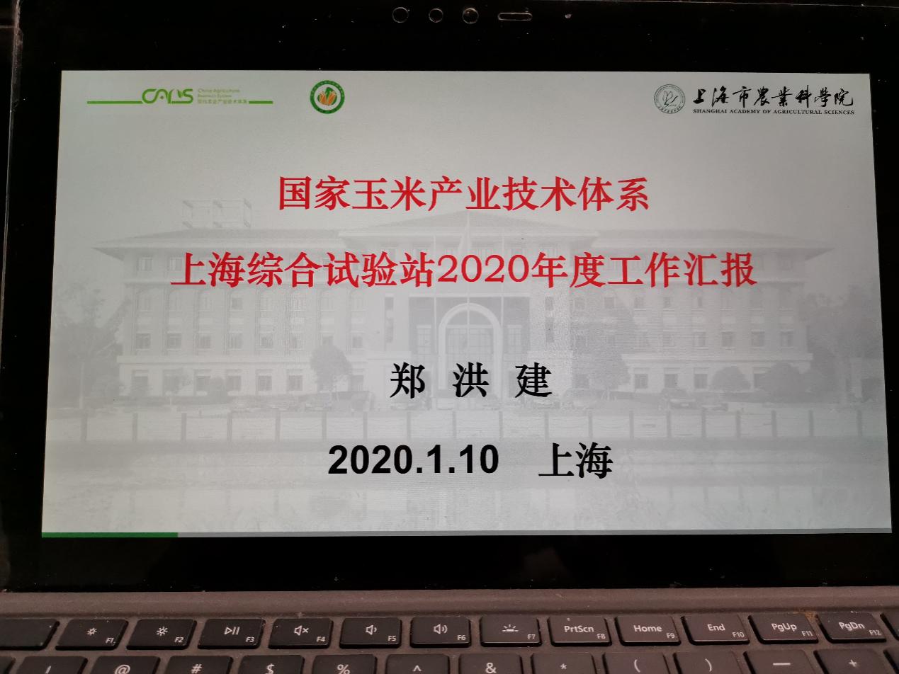 277e50e5dd734a2498ea9ea6349f580f.Jpeg