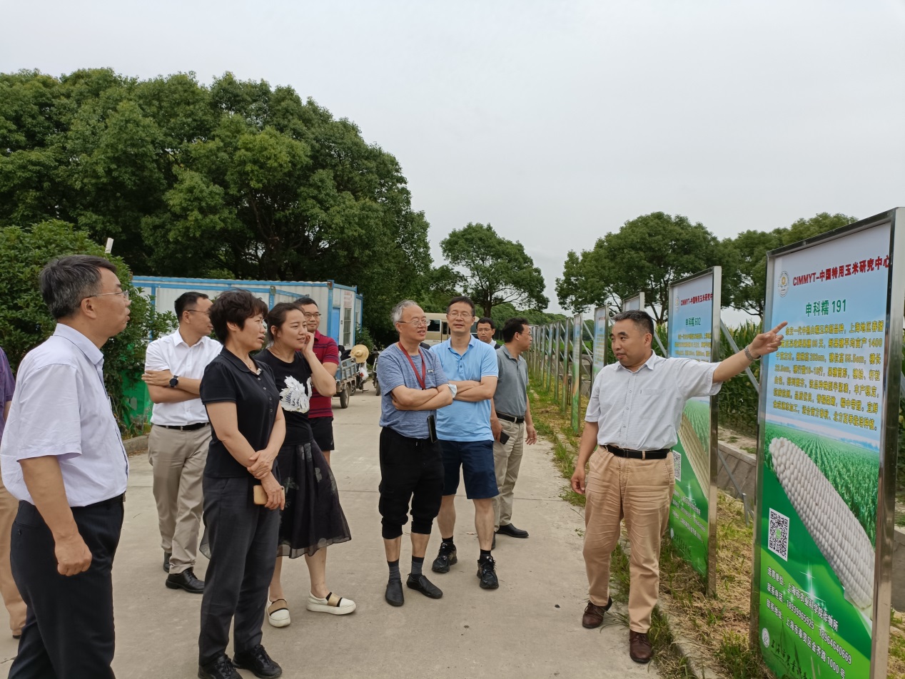 会后,郑洪建研究员带领各位理事参观了我院庄行综合试验基地的特用