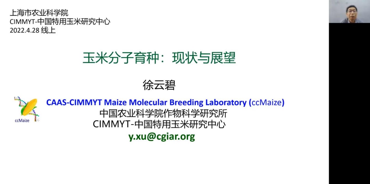 51a3fb89f209472081976cecb7d2892e.Jpeg