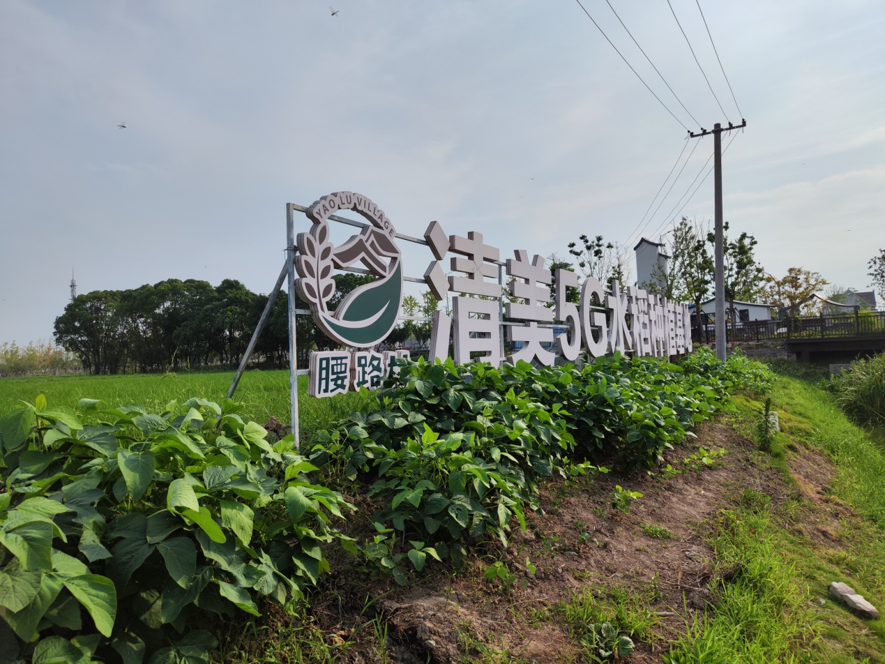 a419b907d14043998ce0f59482522d8c.Jpeg