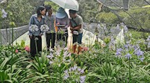 上海分中心赴嘉兴职业技术学院考察百子莲品种资源