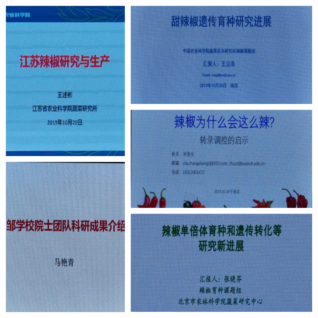 54f9a8fcd3094dca864f37c71f4263a1.jpg