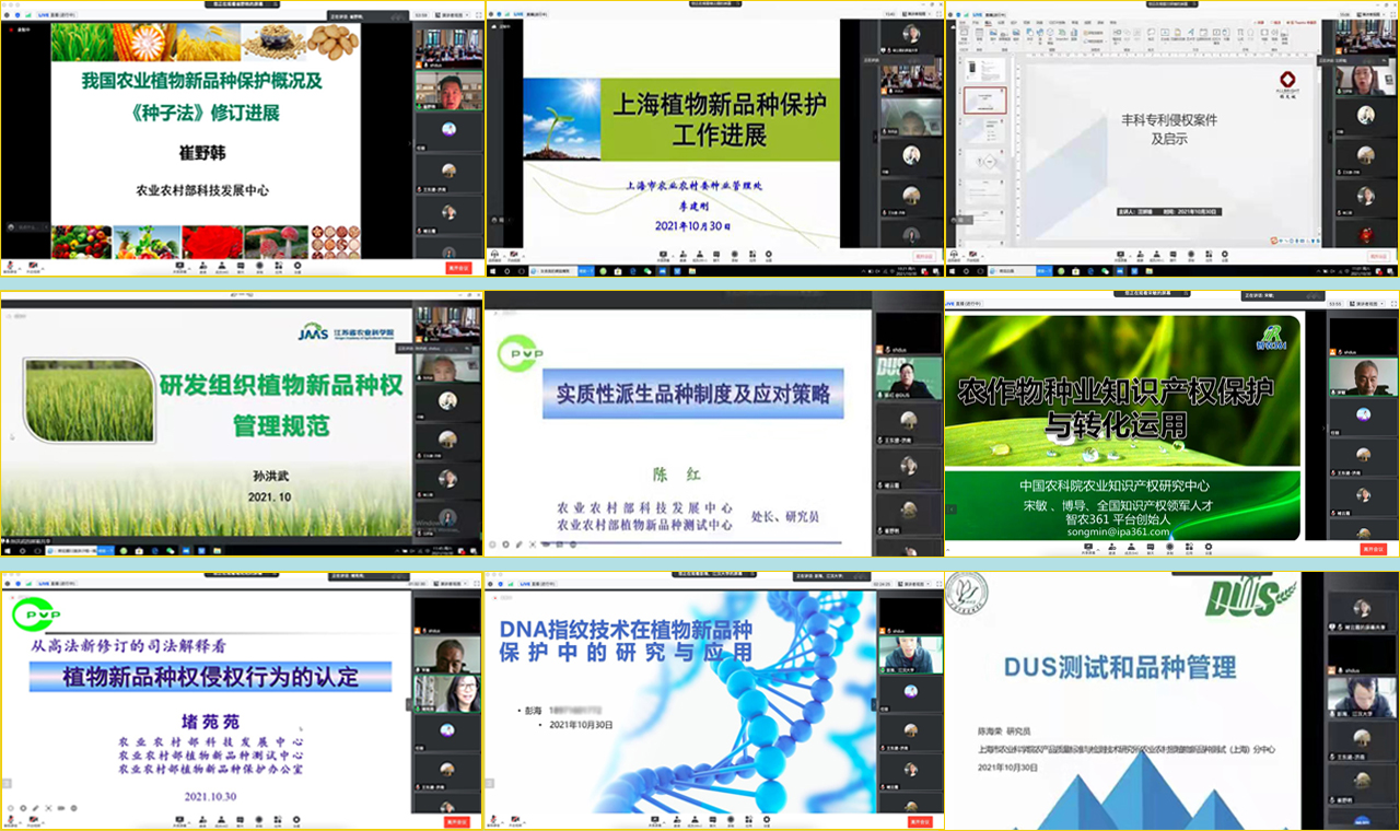 06ccef09b35246dc807b7d93804f46b4.jpg