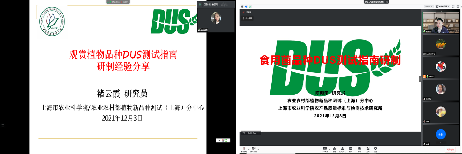 a49b21d4c33b4d46a7cd0d72358b25a2.png