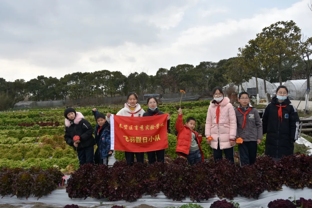 d653a500115b47679895e0846962ff30.jpg