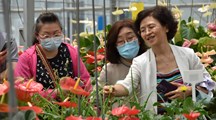 加强交流，促进植物新品种保护测试的成果转化和三技服务工作