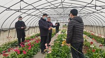 市人大常委会副主任周慧琳一行来我院调研