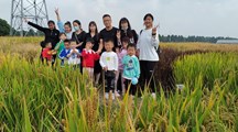 “幼”快乐 之稻田亲子活动