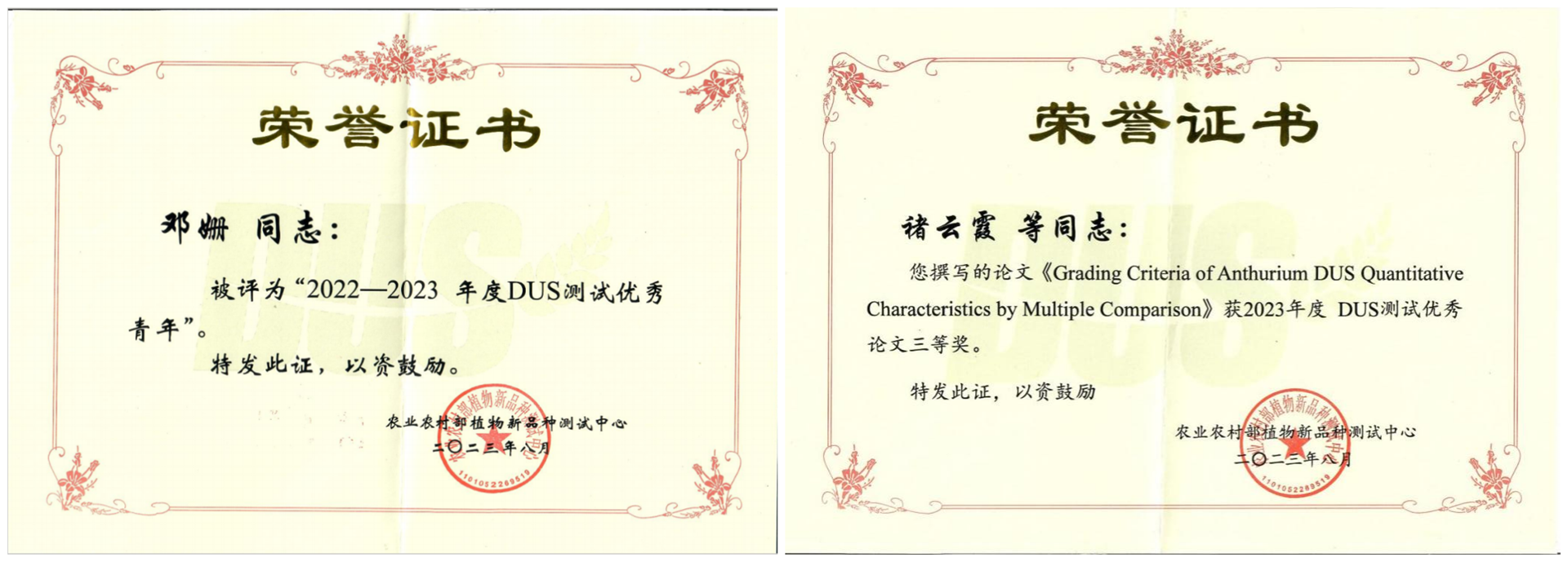caf9f5d5ad2f465cb721d9119372a38a.png