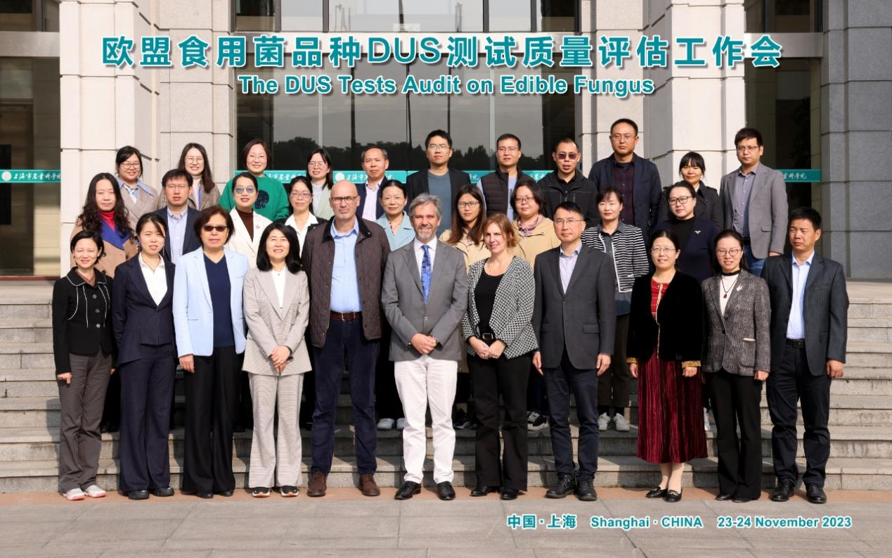 ca8419c7bc884c5eb850e27817f26d08.png