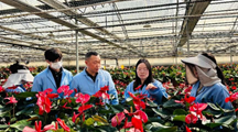上海分中心赴中荷农业部上海园艺培训示范中心指导花烛新品种DUS测试