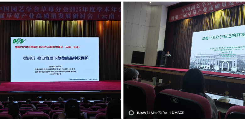 上海分中心参加中国园艺学会草莓分会年会并做报告