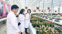 上海分中心赴云南开展技术交流活动