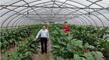 宁夏泰金种业裴卓强董事长来上海分中心考察调研