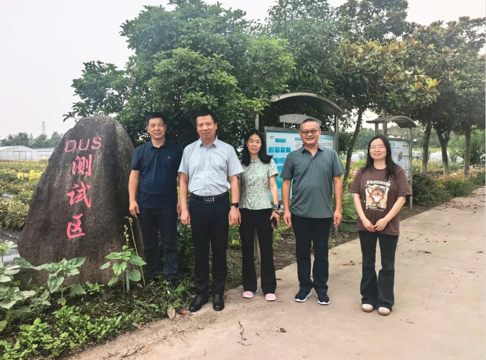 长江大学0