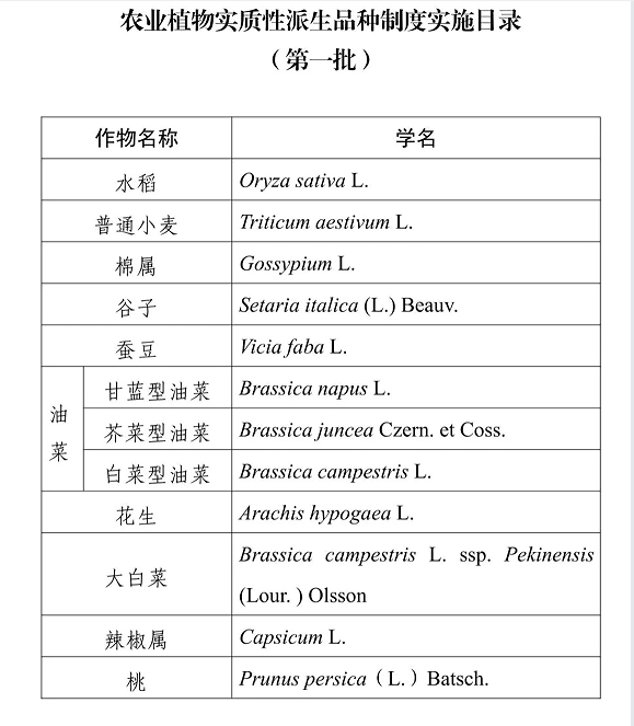 实质性派生5