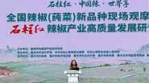 上海分中心应邀参加“石柱红”辣椒高质量发展研讨会并做专题报告