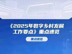 中央网信办等四部门印发《2025年数字乡村发展工作要点》