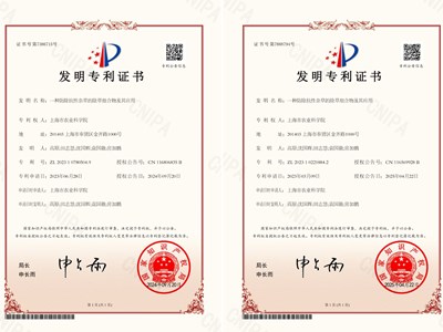 破局抗性杂草治理——我院生态所杂草管理团队连续获得两项国家发明专利授权