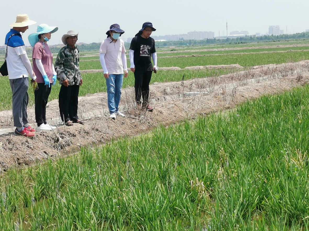 35d5269ca4ee49edb27ce5cc142268cd.jpg 35d5269ca4ee49edb27ce5cc142268cd.jpg