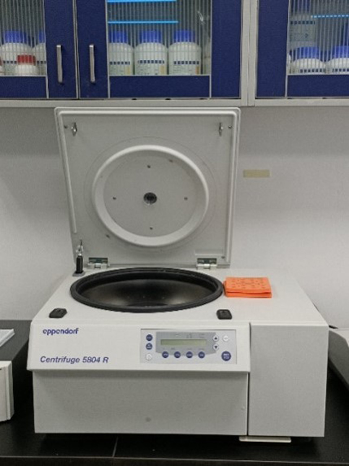 36031d1ae0ce4eb582046f04534da058.jpg 36031d1ae0ce4eb582046f04534da058.jpg