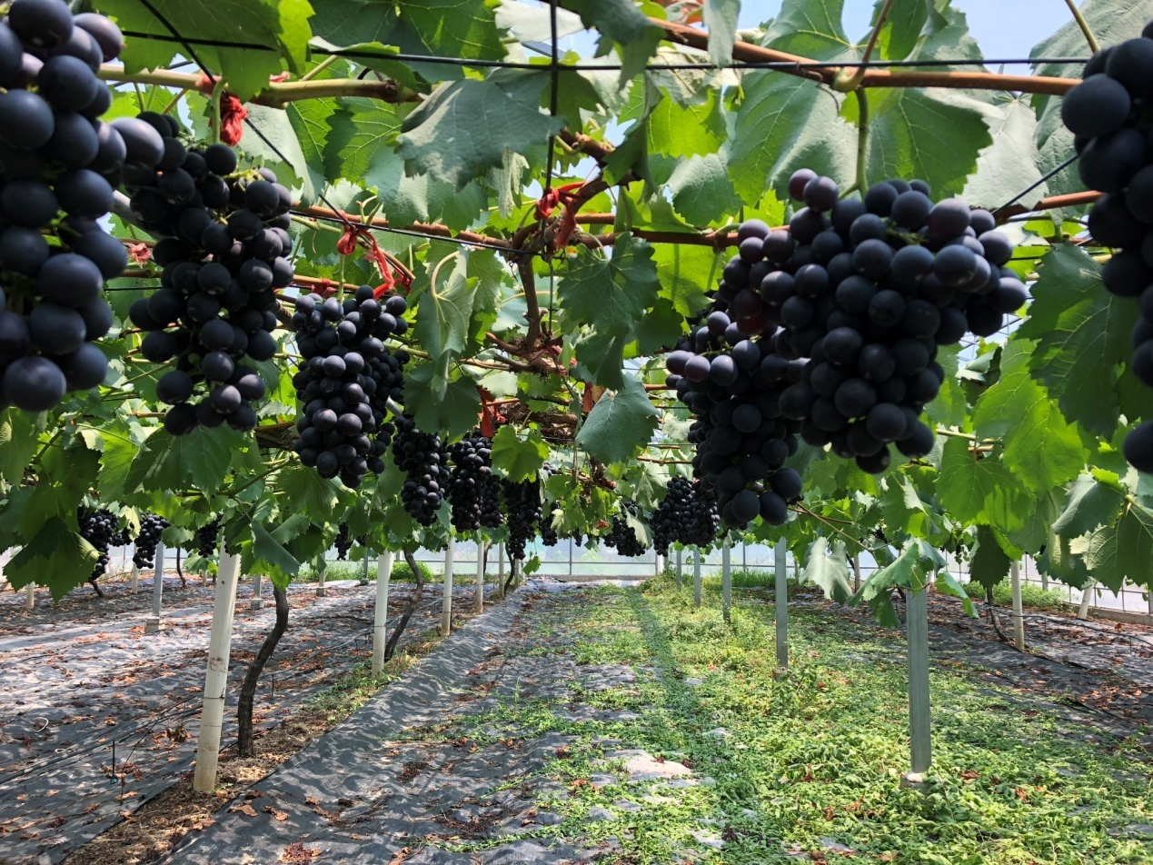 b6ec258429874864be322890e53c4057.png b6ec258429874864be322890e53c4057.png