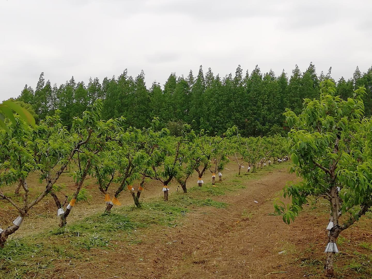 2d436cc76bec48bb85a5a43e97e92346.jpg 2d436cc76bec48bb85a5a43e97e92346.jpg