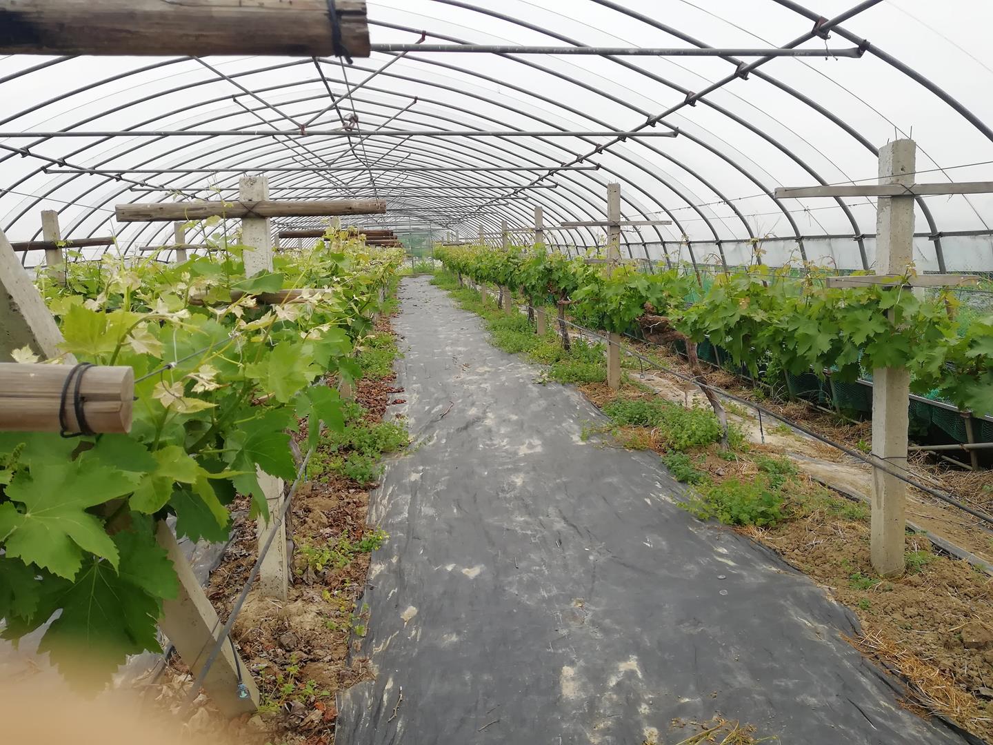 3fe26c678fb545069d5c10c334ef553f.jpg 3fe26c678fb545069d5c10c334ef553f.jpg