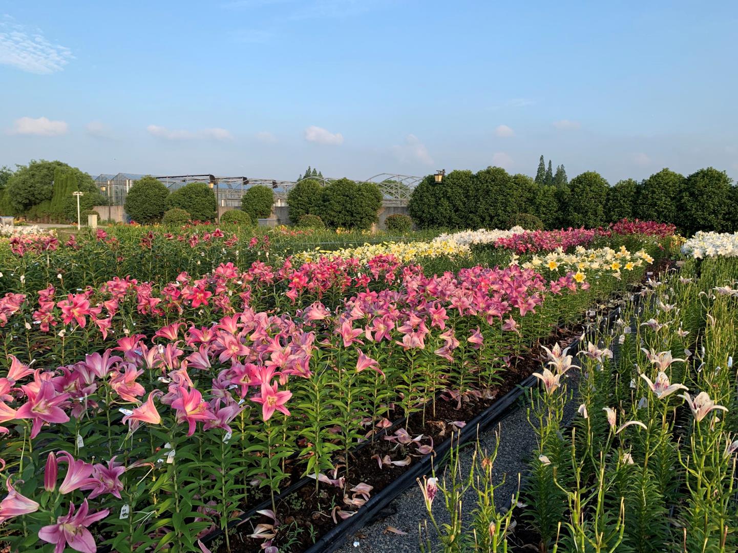 638c525060774424a9586145203b7b53.jpg 638c525060774424a9586145203b7b53.jpg