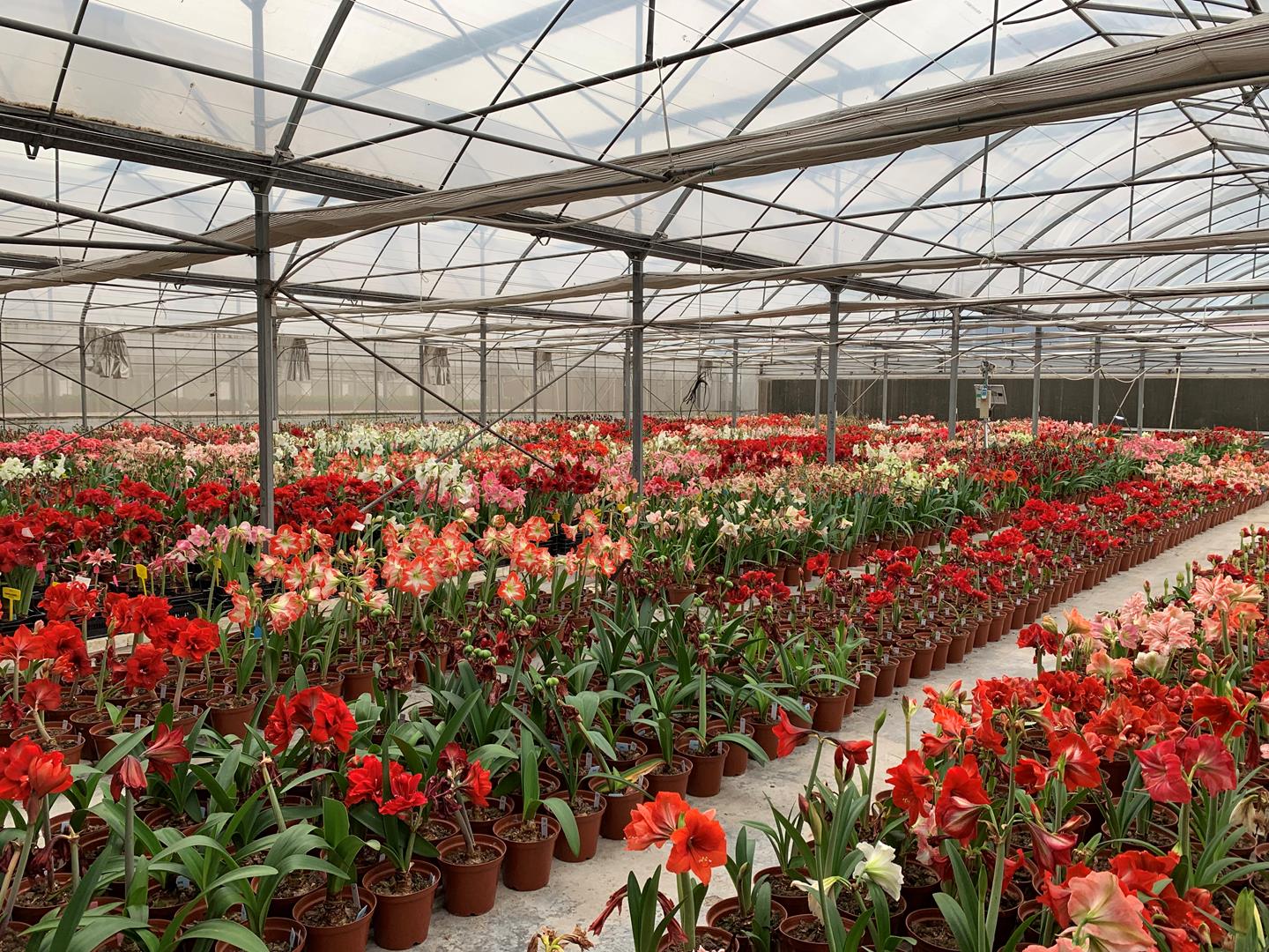 9203a37085884eab893b0d49d2cf6f1e.jpg 9203a37085884eab893b0d49d2cf6f1e.jpg