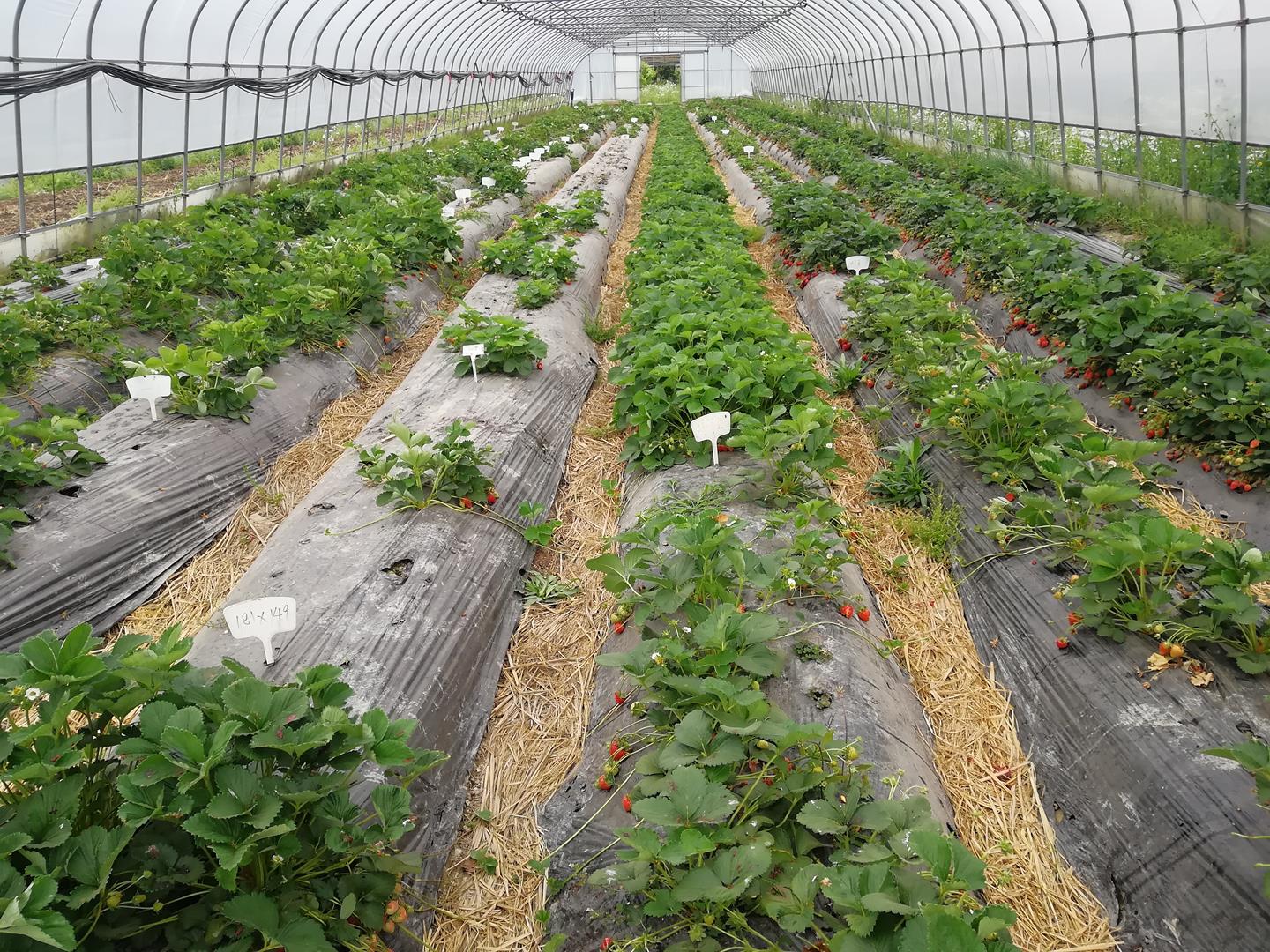 eeb08f2dbf7240548367ac70551dec34.jpg eeb08f2dbf7240548367ac70551dec34.jpg