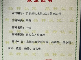 上海市认定品种-申怡草莓（2021年）