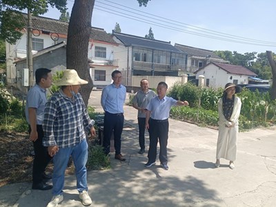 林果所联合智慧农业研究中心、欧普照明调研考察白鹤草莓设施建设