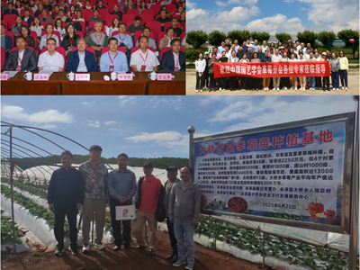 林果所科技人员参加中国园艺学会草莓分会2025年度学术年会暨第二届草莓产业高质量发展研讨会