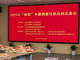 【金山先行区共建】林果所科技人员助力金山区“桃、萄”争霸赛优新品种品鉴会