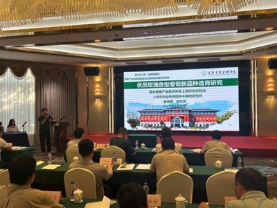我院举办葡萄产业高质量发展论坛暨新品种展示交流会