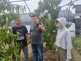 【先行区共建】林果所科技人员赴金山区桃园进行技术指导