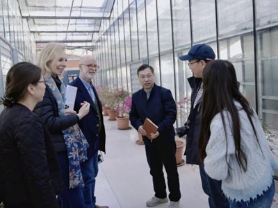 国际茶花协会代表团来院交流指导，共促茶花科研发展
