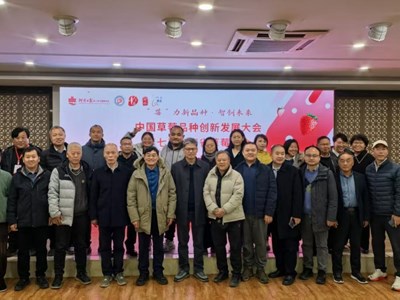 我院林果所科技人员应邀参加中国草莓品种创新发展大会并做大会报告