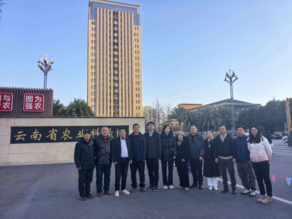 一群人站在建筑前的广场

AI 生成的内容可能不正确。