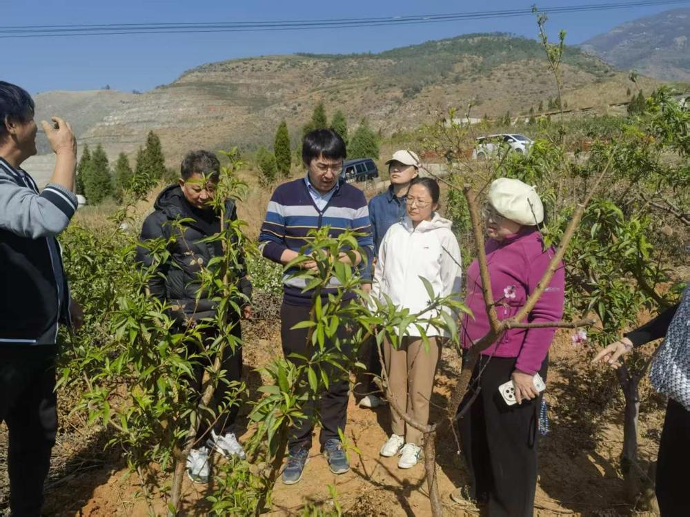 一群人站在山上

AI 生成的内容可能不正确。